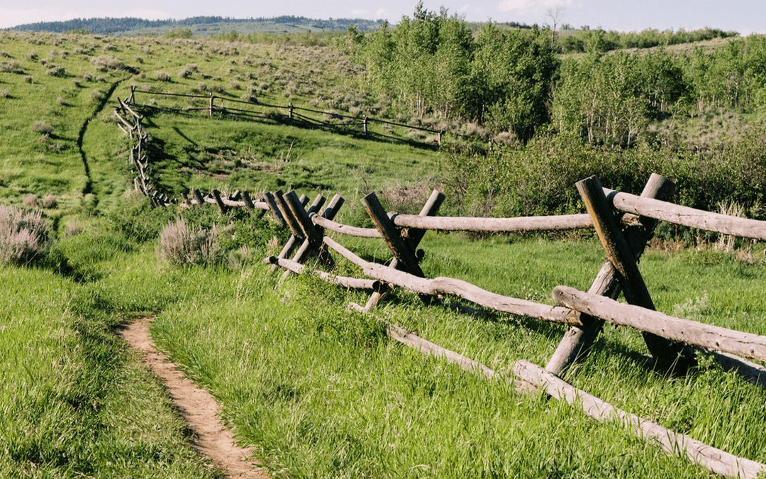 Conservation easements: what they are and why the IRS is watching